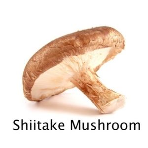 Meet your Posher, George